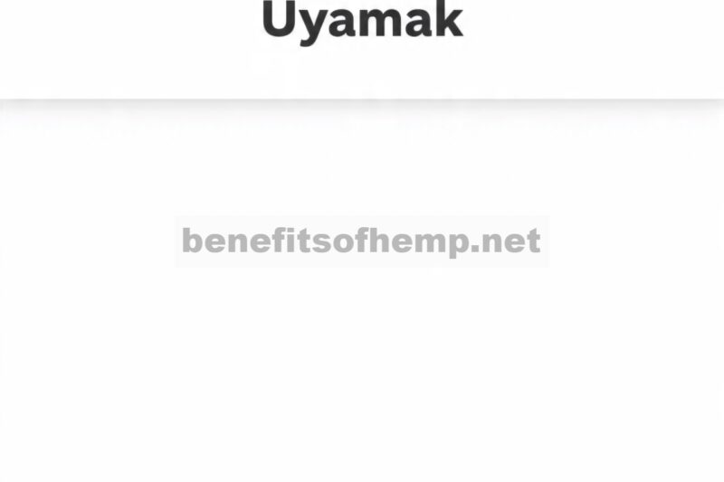 UYAMAK: Memberdayakan Desain dan Simulasi Berbasis Model Melalui Platform Web Open-Source