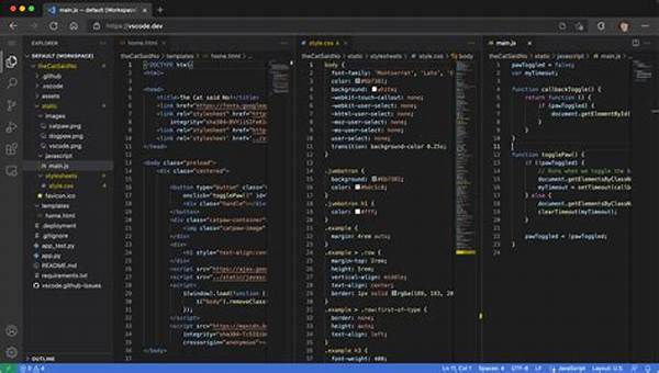 Software Coding